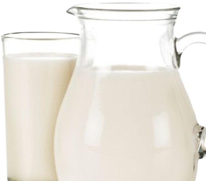Pure GoatMilk ranipokhari rishikesh dehradun